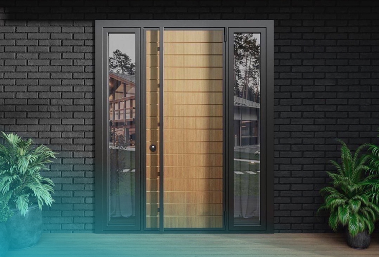 Двери для частного дома Двери для частного дома